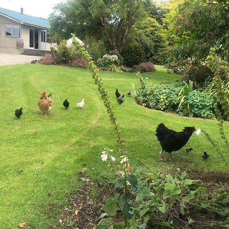 Southland Organic Farmstay Invercargill Exteriér fotografie