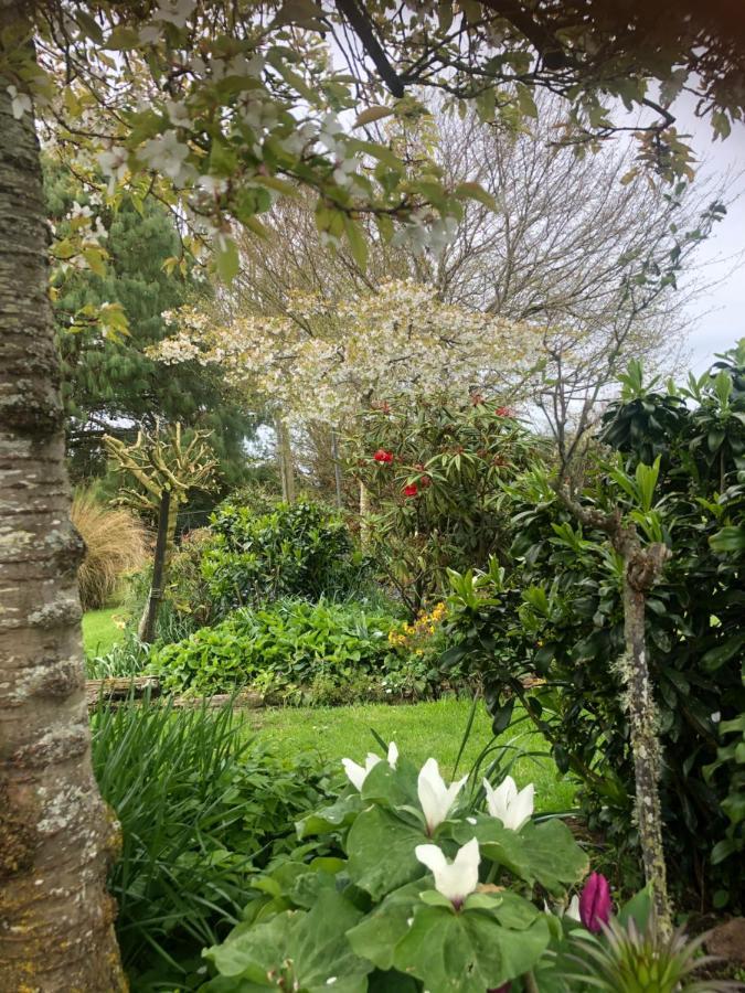 Southland Organic Farmstay Invercargill Exteriér fotografie