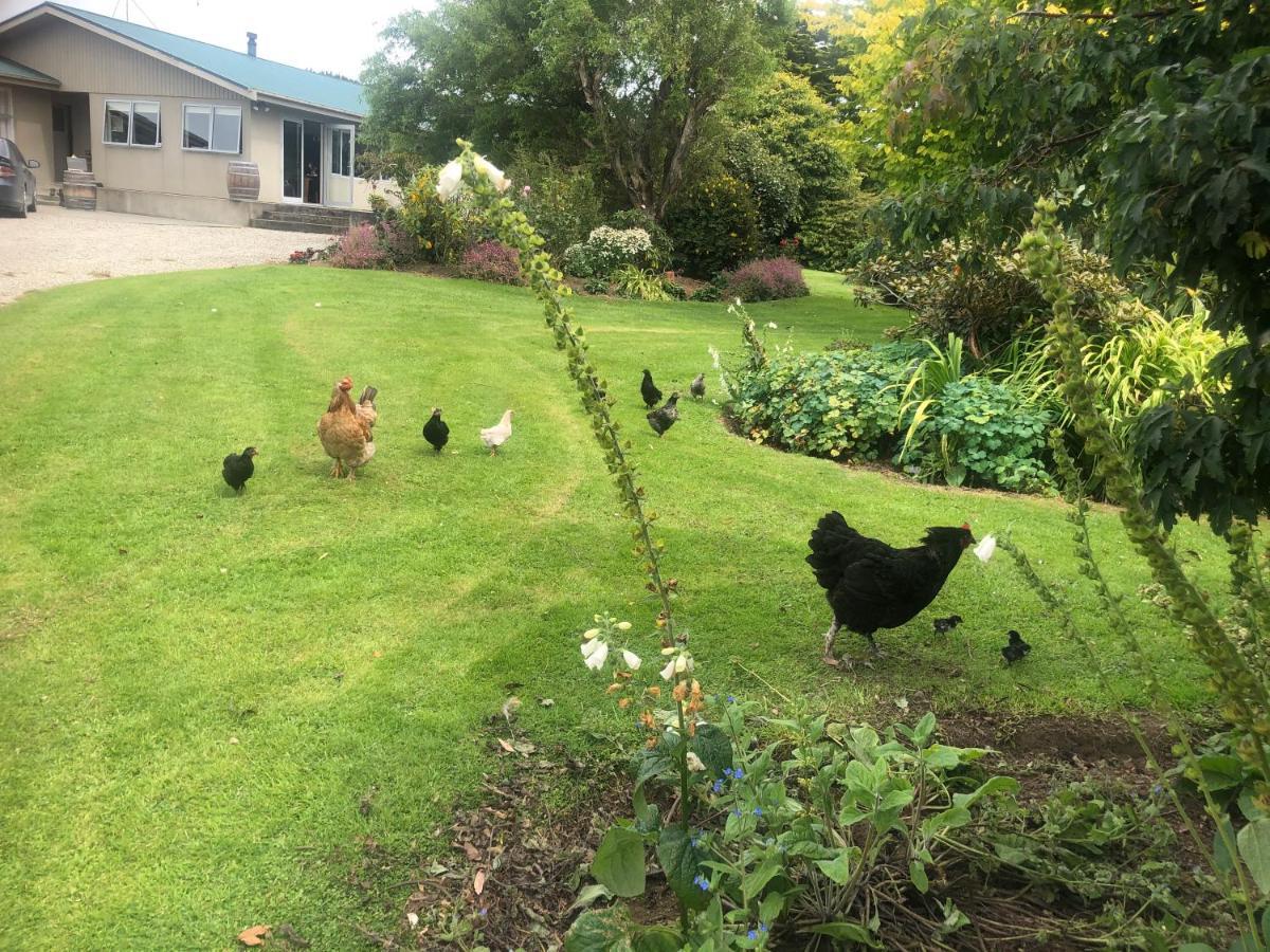 Southland Organic Farmstay Invercargill Exteriér fotografie